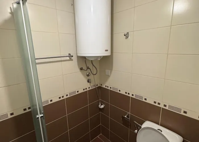 Kujundzic Апартаменты Златибор